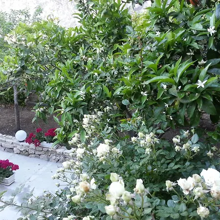 Gasthuis Maga' Housegarden